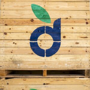 Darta sceglie di nuovo il pallettizzatore Qimarox